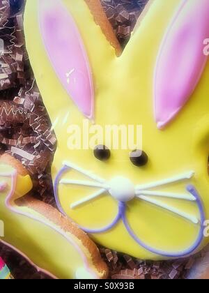 Easter bunny cookie Stock Photo