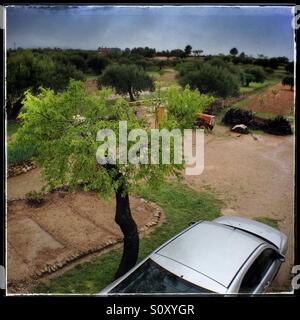View from a window on an olive farm, Catalonia, Spain. Stock Photo