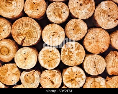 Chopped logs stuck to a wall. Stock Photo