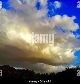 A passing storm produces a faint rainbow above the trees Stock Photo