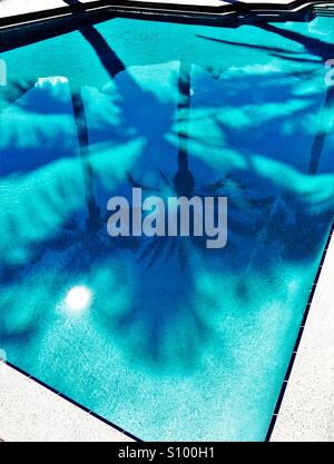 Palm trees and sun reflected in clear turquoise blue pool Stock Photo