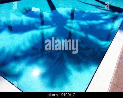 Palm trees and sun reflected in clear turquoise blue pool Stock Photo