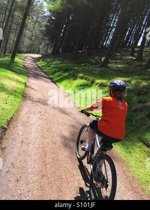 Mountain biker in the forest round Derwent in the Peak District Derbyshire Stock Photo