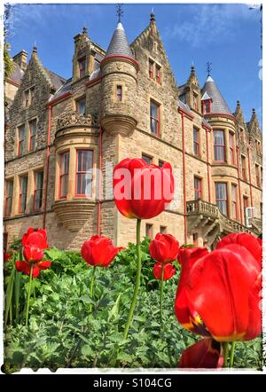 Belfast Castle, Belfast Northern Ireland. Stock Photo