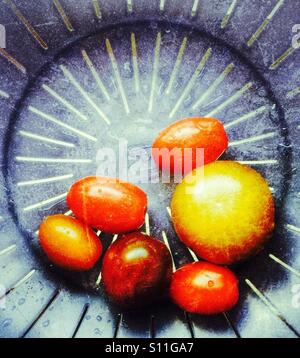 Multicolored tomatoes, freshly washed Stock Photo