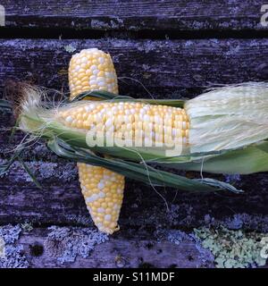 Corn on the cob Stock Photo