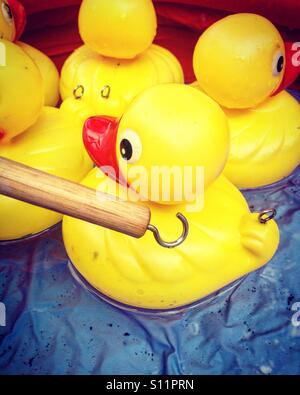 Hook a duck floating on a paddling pool Stock Photo