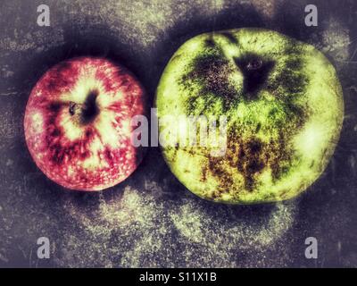 Two apples, one red and one green. Stock Photo