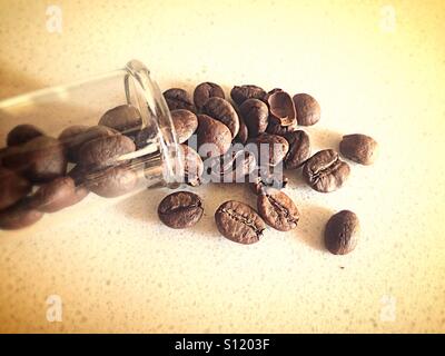 Spilled coffee beans Stock Photo