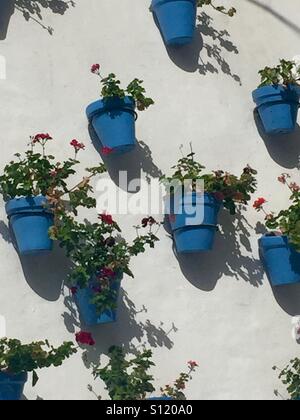 Blue plant pots with geraniums  on a white wall in Marbella Spain Stock Photo