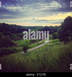 Countryside trail running through lush green trees Stock Photo