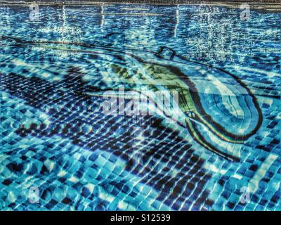 Dolphin mosaic in a swimming pool Stock Photo