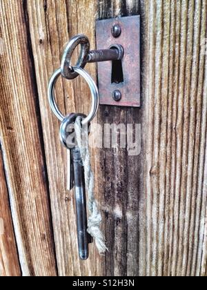 Keys in a metal keyhole on a wooden door Stock Photo