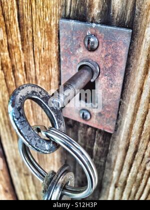 Keys in a metal keyhole on a wooden door Stock Photo