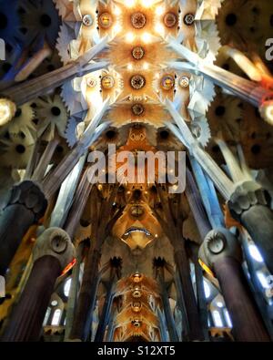 The ceiling of the la sagrada familia in Barcelona Stock Photo