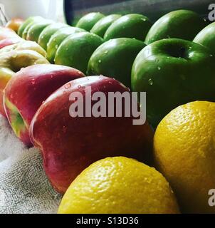 Freshly washed apples and lemons drying in a line. Stock Photo