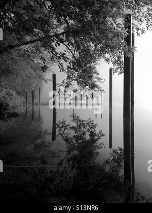 Reflection of trees and boat dock in the water of a lake on a foggy morning Stock Photo