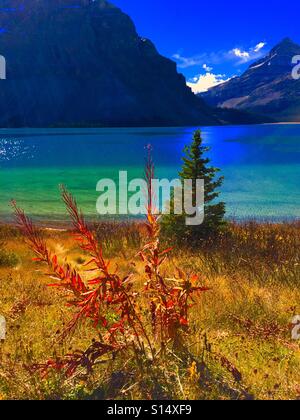 Autumn at Bow Lake, Banff National Park, Alberta, Canada Stock Photo