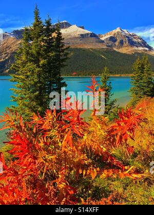 Autumn at Bow Lake, Banff National Park, Alberta, Canada Stock Photo