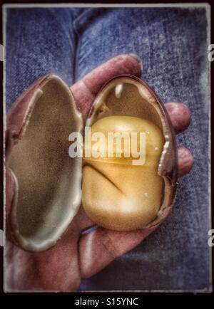 Inside a Kinder egg Stock Photo