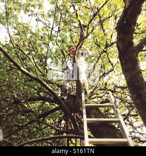 Seven year old boy climbing a apple tree Stock Photo