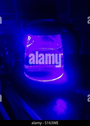 Blue illuminated kettle boiling Stock Photo