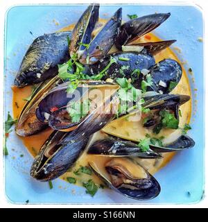 Fresh mussels cooked in a delicious Thai curry sauce.
