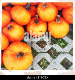 A pile of pumpkins are artfully arranged on a patterned ground cover. Stock Photo