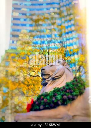 The majestic lion statue in front of the new York public library is decorated with a holiday wreath Stock Photo