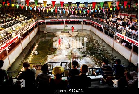 People in an arena watch a show with crocodiles at the Samutprakan Crocodile Farm and Zoo, Bangkok, Thailand Stock Photo