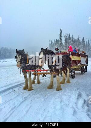 Family fun. Team of Clydesdale horses and wagon  on a snowy day Stock Photo