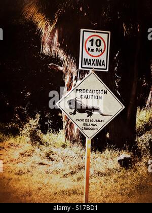 Road signs posting a speed limit and a caution about an iguana crossing area of the road in La Cruz de Huanacaxtle, Nayarit, Mexico. Stock Photo