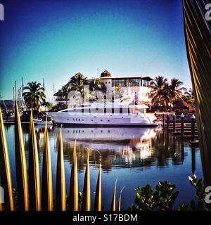 Marina Riviera Nayarit welcomes boats of all sizes including mega yachts like the one docked here visible through the Palm fronds across the water. Stock Photo