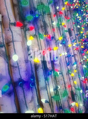 Holiday light Display of strands of multi colored bulbs, USA Stock Photo