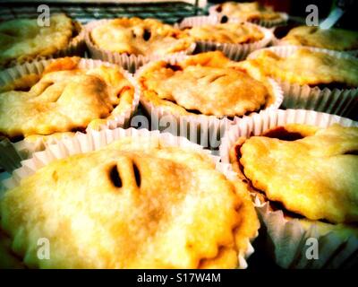 Homemade mince pies cooling in a cooling rack having just left the oven. Stock Photo