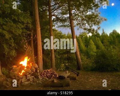 Forest Views By Campfire Stock Photo