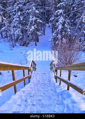 Stairway to a wooded pathway in winter Stock Photo