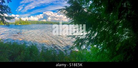 Island At Sunny Lake View From Shady Forest Shoreline Portrait Stock Photo