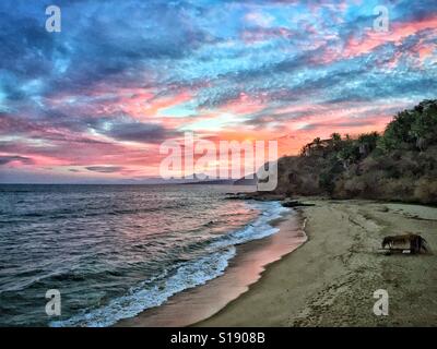 Sunrise in beautiful colors over the Pacific Ocean on a remote beach in Nayarit, Mexico. Stock Photo