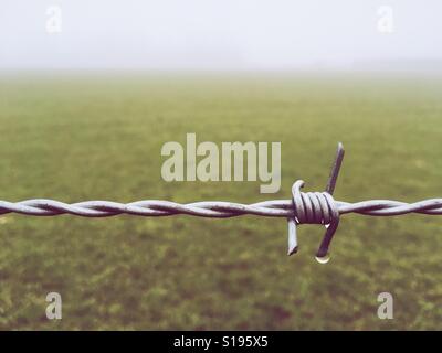 Barbed wire in the fog Stock Photo