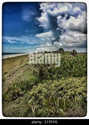 The view from atop the green rolling sand dunes south of Ponte Vedra Beach, Florida Stock Photo