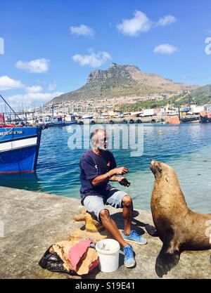 Feeding blackie the seal in Hout Bay, Cape Town, South Africa. Stock Photo