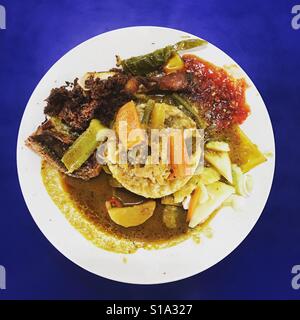 Rice with fried chicken and gravy Stock Photo