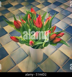 Red tulip flowers Stock Photo