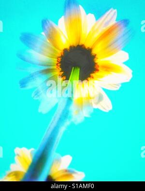 Graphic blue planting Stock Photo - Alamy