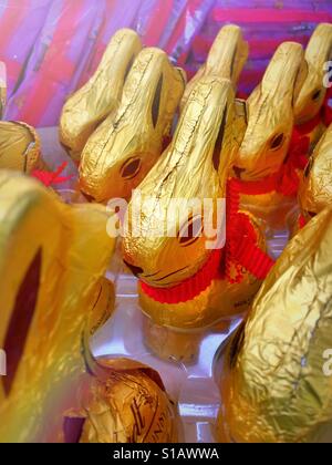 Chocolate foil wrapped bunny display for Easter, USA