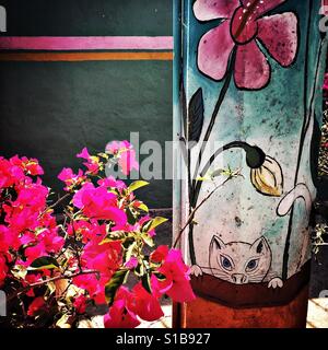 A playful cat peeking over a wall and brightly colored flowers are painted on a power pole next to a container overflowing with bougainvillea flowers in Ajijic, Jalisco. Stock Photo