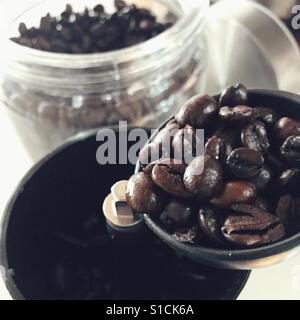 Coffee beans in a scoop Stock Photo