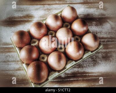 One dozen chicken eggs in an egg box Stock Photo
