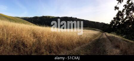 Grassy pasture with gravel road in California. Stock Photo